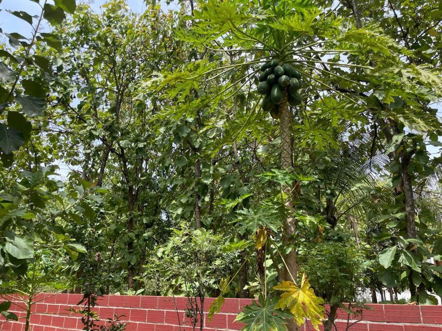 'Vrindavan' In Heritage City Mysuru Exterior foto